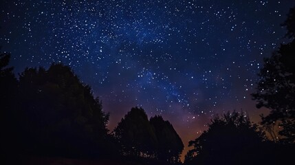 Night sky full of stars