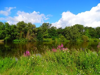 Europe, France, Big East region, Alsace, Upper Rhine, Ensisheim, Eiblen park and nature reserve
