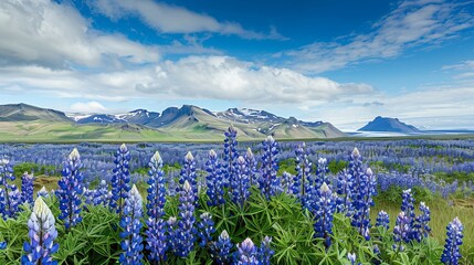 A breathtaking view of a vast field covered in vibrant blue flowers with snow-capped mountains and a clear blue sky in the background, showcasing nature's splendor.