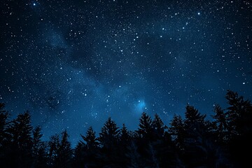 Naklejka premium Panoramic Starry Night Sky with Milky Way and Black Forest Silhouette, Captured in High Definition with Wide Angle Lens, Mysterious Atmosphere