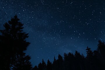 Fototapeta premium Panoramic Starry Night Sky with Milky Way and Black Forest Silhouette, Captured in High Definition with Wide Angle Lens, Mysterious Atmosphere