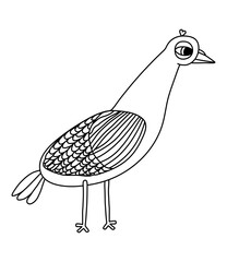 Obraz premium Vector illustration of a dove in doodle style on a white background