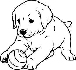 Labrador retriever dog  puppy playing ball