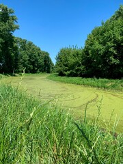 Photos of nature. A small flat river in summer greenery. Peaceful landscapes of the European plain.