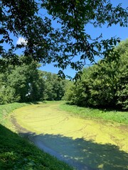 Photos of nature. A small flat river in summer greenery. Peaceful landscapes of the European plain.