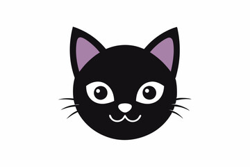 black and white kitten