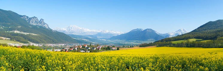 Fototapeta premium field of blooming rapeseed with mountains on the horizon