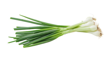 Spring onions on a transparent background