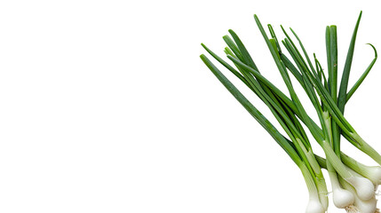 Obraz premium Spring onions on a transparent background