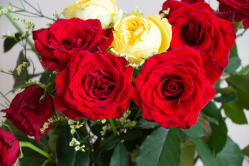 赤と黄色のばら