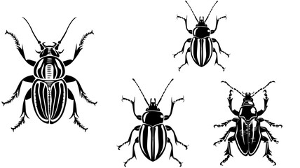 Set of Hand Drawn Insects or Small Animals Sketch Vector Illustration Isolated on White Background
Hand-sketched insects collection. Hand drawn beetles, bugs, moths,
bee set in vintage style. Entomolo
