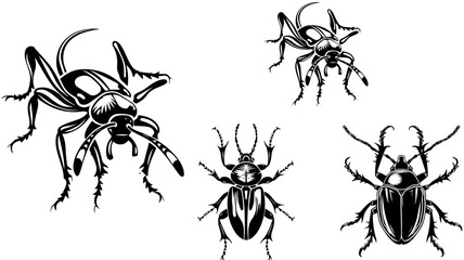 Set of Hand Drawn Insects or Small Animals Sketch Vector Illustration Isolated on White Background
Hand-sketched insects collection. Hand drawn beetles, bugs, moths,
bee set in vintage style. Entomolo