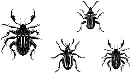 Set of Hand Drawn Insects or Small Animals Sketch Vector Illustration Isolated on White Background
Hand-sketched insects collection. Hand drawn beetles, bugs, moths,
bee set in vintage style. Entomolo
