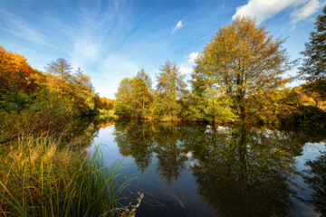 Nad rzeką Kamienna. Poland Świętokrzyskie.
