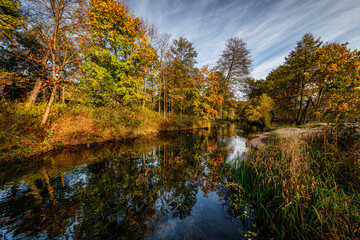 Fototapeta premium Nad stawem w Bałtowie . Poland Świętokrzyskie.