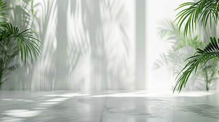 White Ribbed Background. Green palm with reeded glass. Luxury summer background. Palm tree and clear sky. Blurred bokeh lights effect.