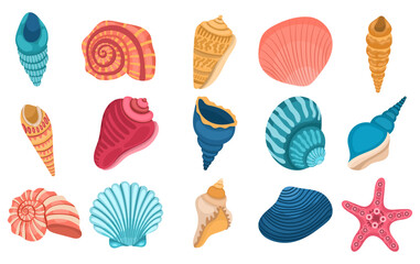 Large collection of different seashells on a white background