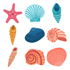 Modern sea summer icon collection of different seashells on white background