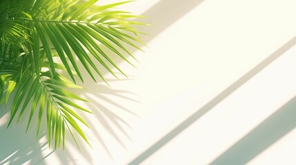 Fototapeta premium White Ribbed Background. Abstract gradient design. Luxury concept presentation. Decorative stripes overlay. Green palm with reeded glass.