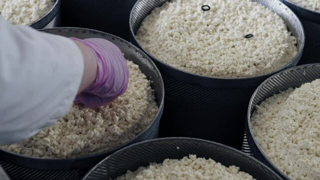 Freshly produced whey cheese is sorted into the containers at factory. Multiple containers filled up with the whey cheese products. Worker putting markings into containers with the whey cheese