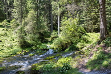 Obernbergen See, Tirol, Austria