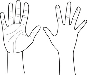 Human hands, human palms and wrist, Hand drawn in thin line style