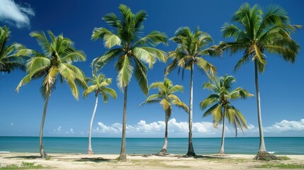 Serene Tropical Beach Paradise with Palm Trees and Blue Sky