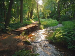 Obraz premium Peaceful woodland stream, dappled sunlight filtering through the trees, and a small wooden bridge