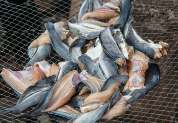 Drying fish in the sun outdoors on a net