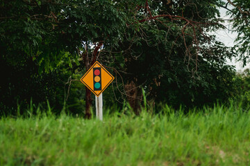 traffic light three colors In the forest on the side of the road.
