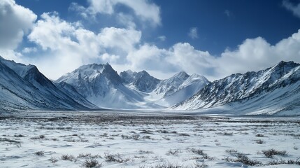 Snow-covered peaks and icy valleys of the Ellsworth Mountains with a stark, untouched environment