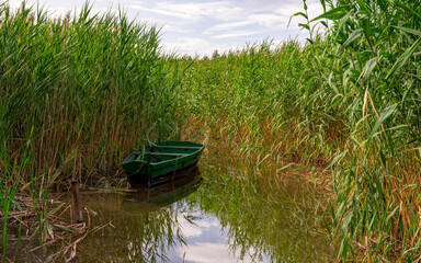 A wooden green boat moored by the shore. Around the boat you can see the dense reeds that surround it on all sides. Elements of the surroundings are reflected on the surface of the water