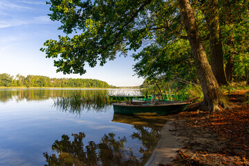 Landscape with a small boat moored by a large leafy tree, casting shadows on it and the calm surface of a lake in the middle of the forest
