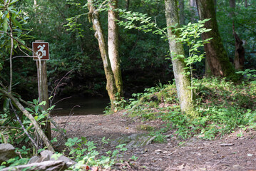 Wheelchair access sign on a hiking trail in the forest beside of a river.