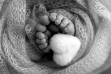 The tiny foot of a newborn baby. Soft feet of a new born in a wool blanket. Close up of toes, heels and feet of a newborn. Knitted heart in the legs of a baby Studio macro photography. Black and white