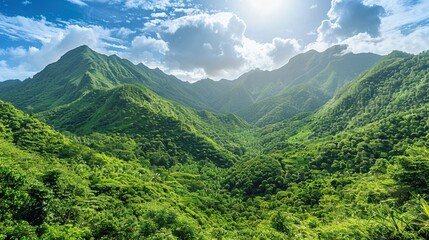 Obraz premium A lush green forest with a mountain range in the background