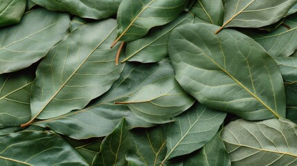 This image captures a close-up view of numerous fresh, vibrant green leaves arranged in a pattern, showcasing their detailed texture and natural beauty in a seamless layout.