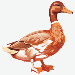 A colorful duck vector eps