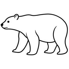 illustration of a bear
