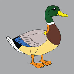 A colorful duck vector eps