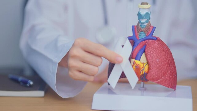 November Lung Cancer Awareness month. Doctor with Smoker Lung anatomy model and White ribbon in hospital. Healthcare and World Cancer day concept