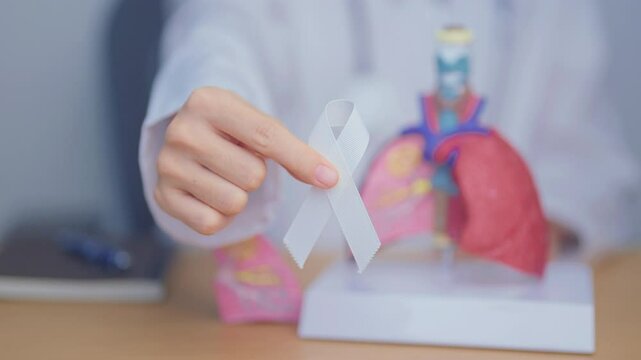 November Lung Cancer Awareness month. Doctor with Smoker Lung anatomy model and White ribbon in hospital. Healthcare and World Cancer day concept