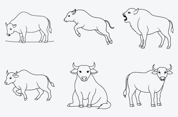 Majestic Buffalo Line Art Collection
