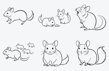 Ultimate Chinchillas Line Art Collection, The Best and Biggest Compilation
