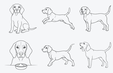 Ultimate Beagle Line Art Collection, 100+ High-Quality Illustrations