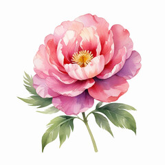 Watercolor illustration of red flowers, flower clip art. Bouquet of peonies