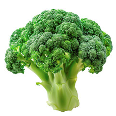 broccoli transparent ,cut out