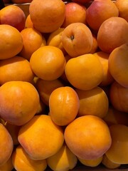 display of organic apricots, a quality fruit