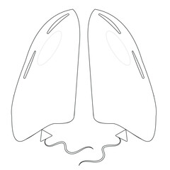 healthy human lungs in the shape of two balloons symbolizing freedom from disease, lung cancer day icon, line art style, for posters, banners or different designs