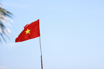 vietnamese flag waving with palm leaf in coast of south china sea